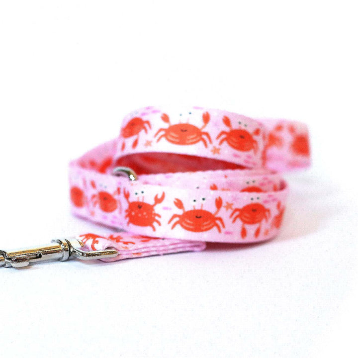 Clive & Bacon Dog Collars and Leashes Custom Dog Accessories Shop