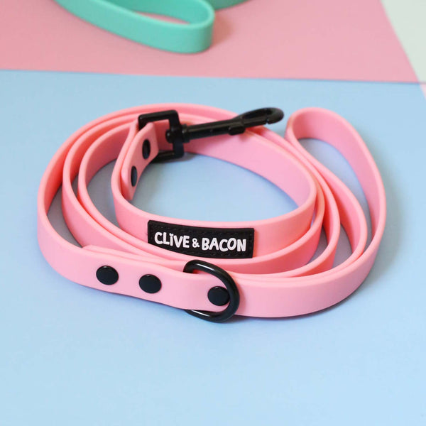 Coral Waterproof Dog Leash - Clive and Bacon