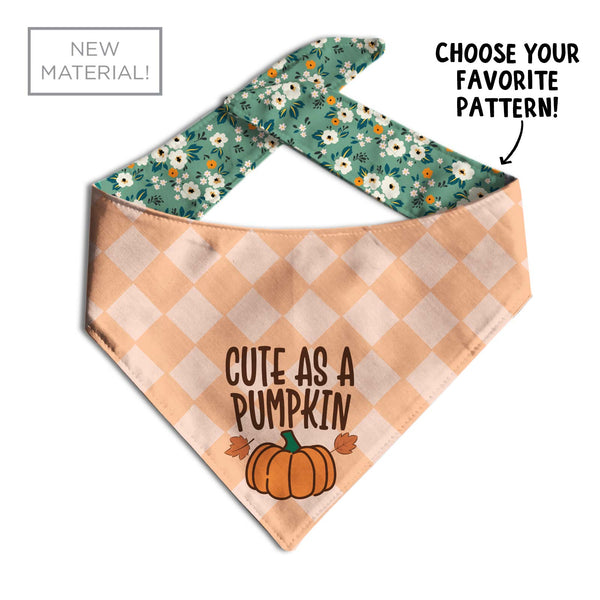 Cute as a Pumpkin Dog Bandana - Clive and Bacon