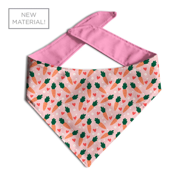 Eggstra Cute Dog Bandana | 2 Colors - Clive and Bacon