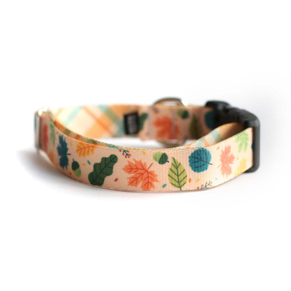 Fall Leaves Dog Collar - Clive and Bacon