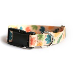 Fall Leaves Dog Collar - Clive and Bacon