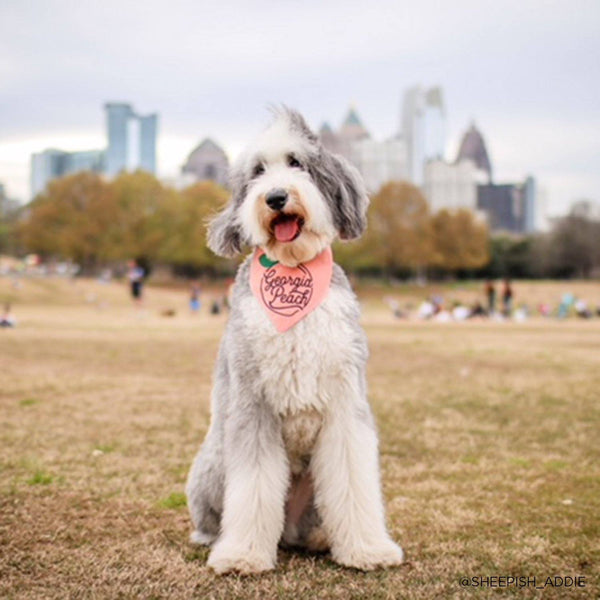 Georgia Peach "Peach" Design Custom Bandana - Clive and Bacon