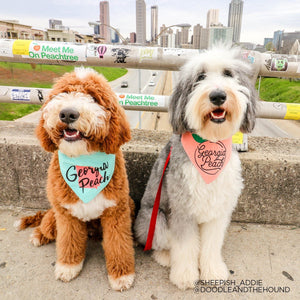 Georgia Peach "State" Design Custom Bandana - Clive and Bacon