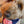 Load image into Gallery viewer, Got My Mind on My Mommy &amp; My Mommy on My Mind Bandana - Clive and Bacon

