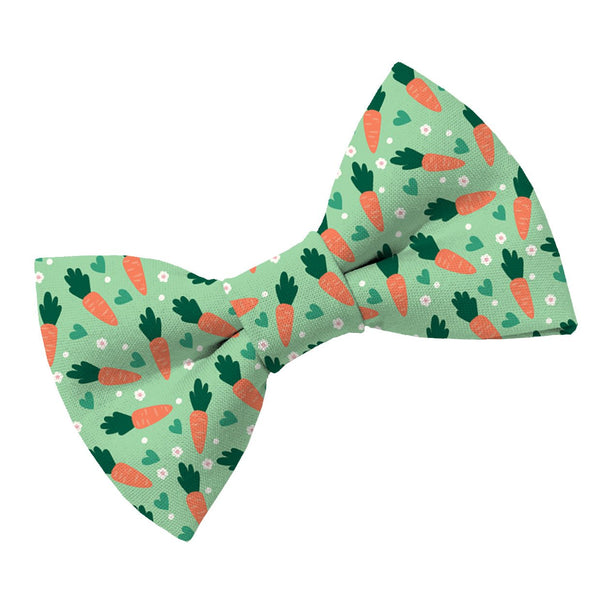 Green Carrot Dog Bow Tie - Clive and Bacon