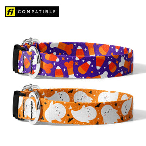 Halloween Fi Compatible Collar - Clive and Bacon