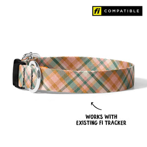 Harvest Plaid Fi Compatible Collar - Clive and Bacon
