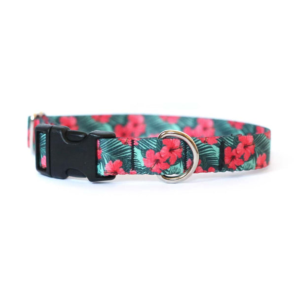Hibiscus Dog Collar - Clive and Bacon