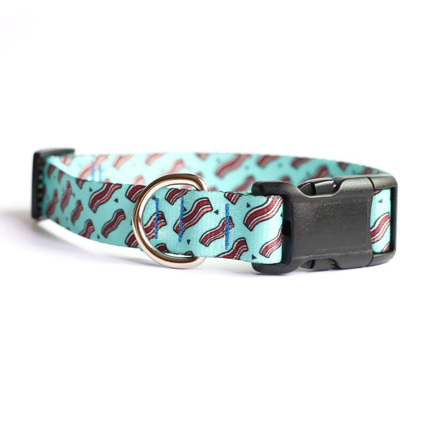 Ice Blue Bacon Dog Collar - Clive and Bacon