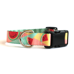 Juicy Watermelon Dog Collar - Clive and Bacon