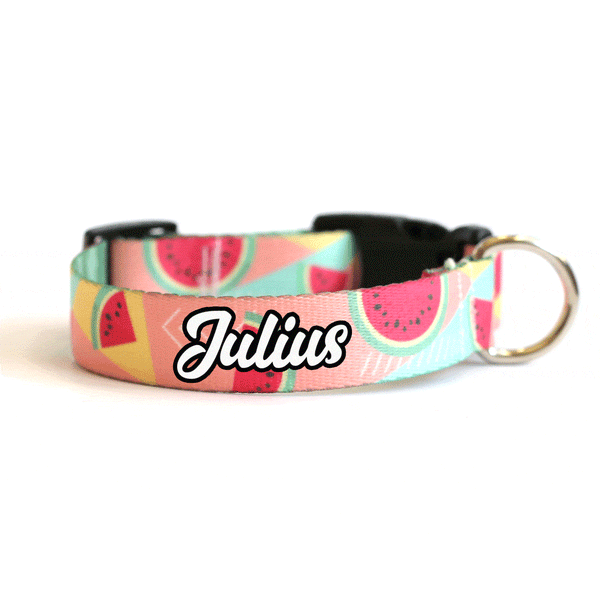 Juicy Watermelon Dog Collar - Clive and Bacon
