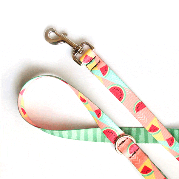 Juicy Watermelon Dog Leash - Clive and Bacon