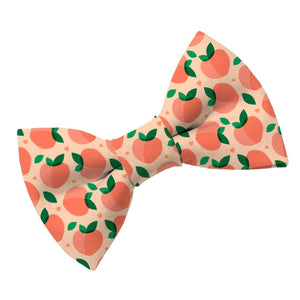 Just Peachy Dog Bow Tie - Clive and Bacon