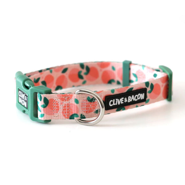 Just Peachy Dog Collar - Clive and Bacon