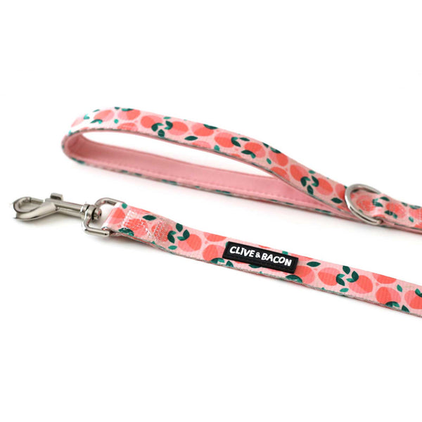 Just Peachy Padded Dog Leash - Clive and Bacon