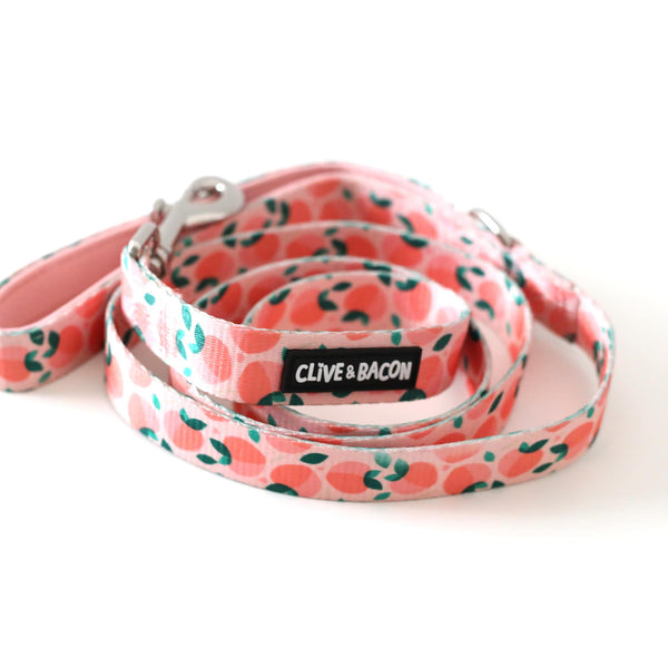 Just Peachy Padded Dog Leash - Clive and Bacon