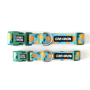 Lemon Squeeze Dog Collar - Clive and Bacon