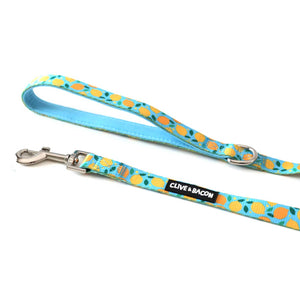 Lemon Squeeze Padded Dog Leash - Clive and Bacon
