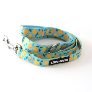 Lemon Squeeze Padded Dog Leash - Clive and Bacon