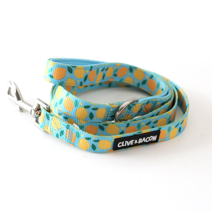 Clive & Bacon Dog Collars and Leashes Custom Dog Accessories Shop