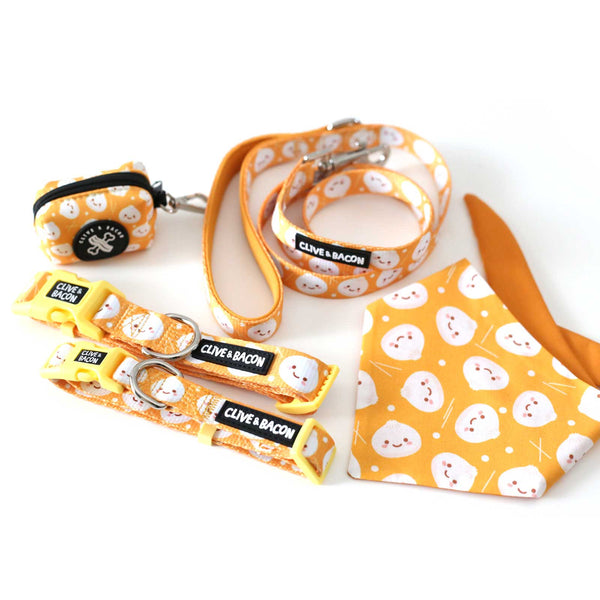Lil' Dumpling Padded Dog Leash - Clive and Bacon