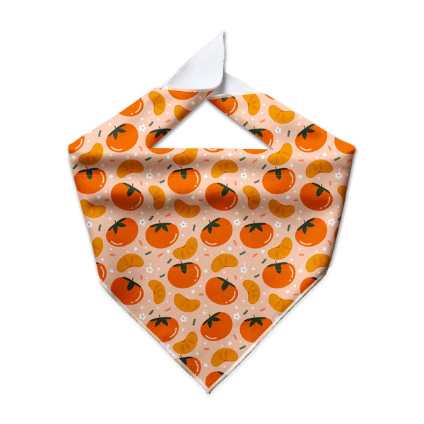 Lucky Persimmon Cooling Dog Bandana - Clive and Bacon