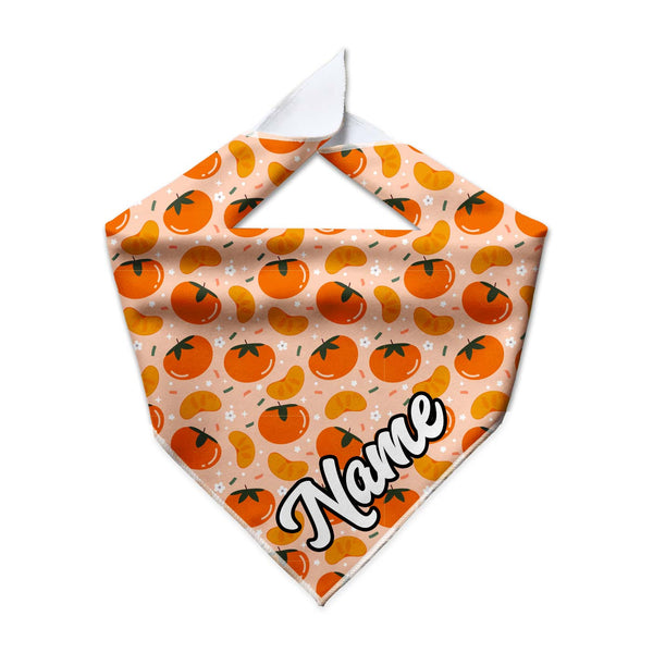 Lucky Persimmon Cooling Dog Bandana - Clive and Bacon