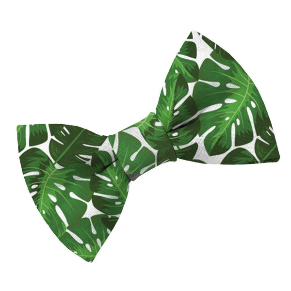 Monstera Magic Dog Bow Tie - Clive and Bacon