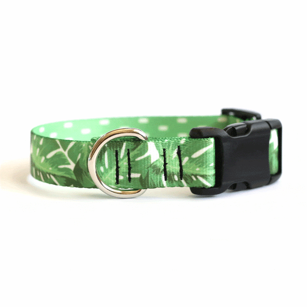 Monstera Magic Dog Collar - Clive and Bacon