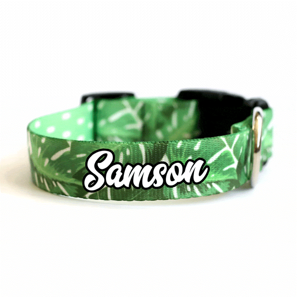 Monstera Magic Dog Collar - Clive and Bacon