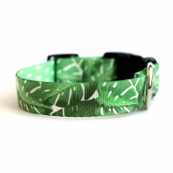 Monstera Magic Dog Collar - Clive and Bacon