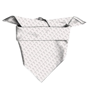 Mystery Holiday Bandana Square - Clive and Bacon