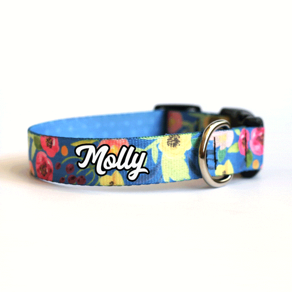 Ocean Floral Dog Collar - Clive and Bacon