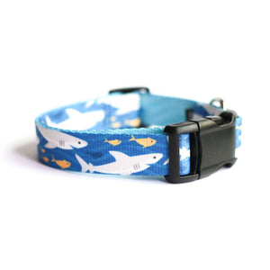 Ocean Friends Shark Dog Collar - Clive and Bacon