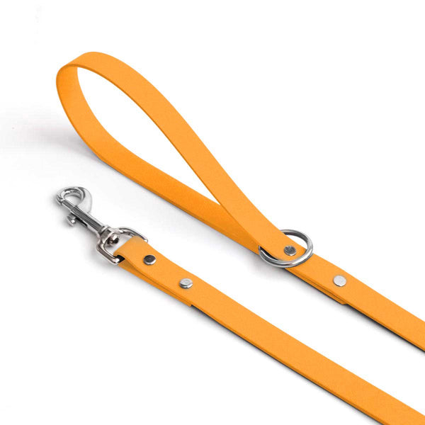 Orange Creamsicle Waterproof Dog Leash - Clive and Bacon