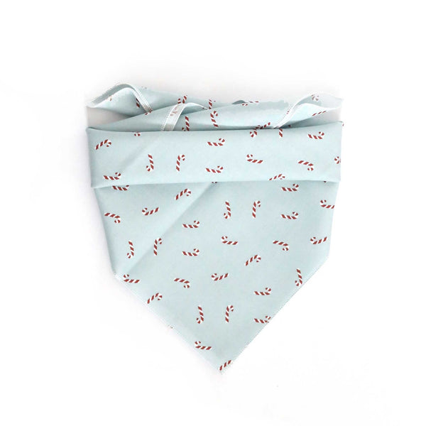 Pastel Blue Candy Cane Dog Bandana - Clive and Bacon