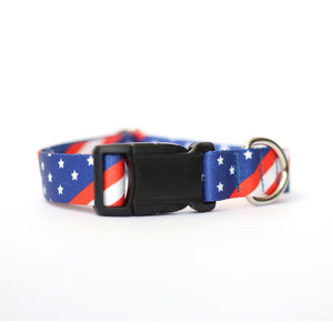 Pawtriotic Pup Dog Collar - Clive and Bacon
