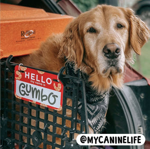 Personalized Pet Crate Tag - Clive and Bacon