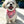 Load image into Gallery viewer, Pink Clawsome Dog Bandana - Clive and Bacon

