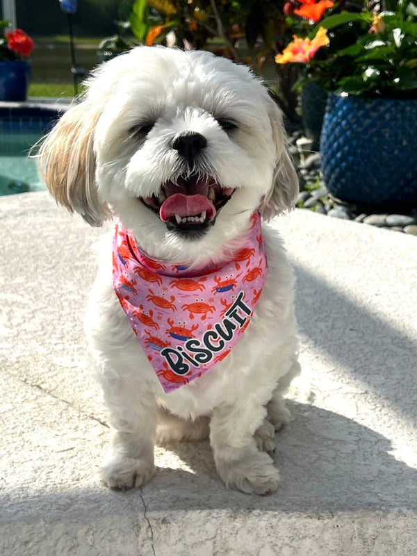 Pink Clawsome Dog Bandana - Clive and Bacon