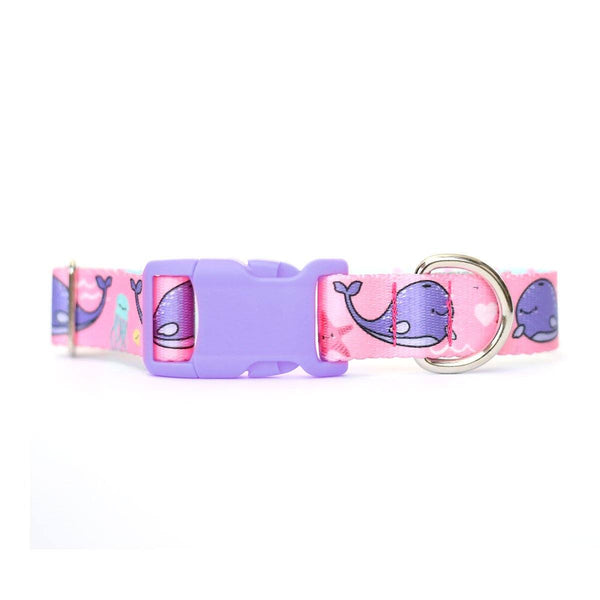 Pink Whales Dog Collar - Clive and Bacon