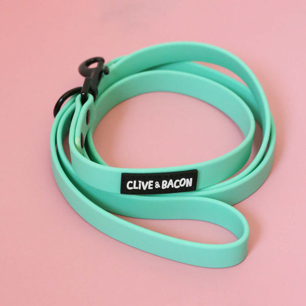 Pistachio Waterproof Dog Leash - Clive and Bacon