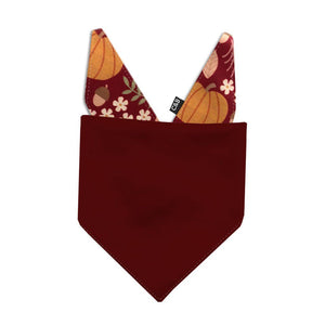 Pumpkin Patch Dog Bandana - Clive and Bacon