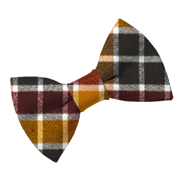 Pumpkin Spice Dog Bow Tie - Clive and Bacon