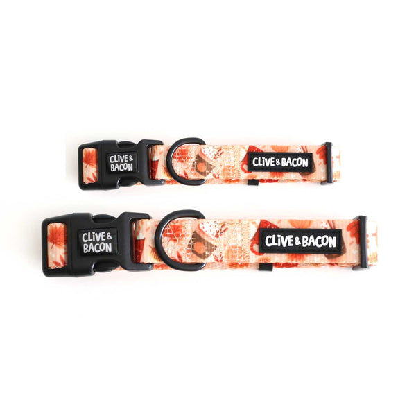 Pupkin Spice Dog Collar - Clive and Bacon