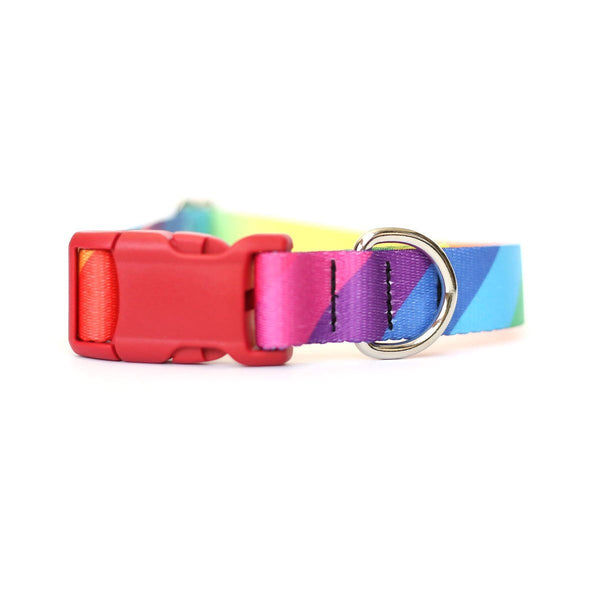 Rainbow Dog Collar - Clive and Bacon