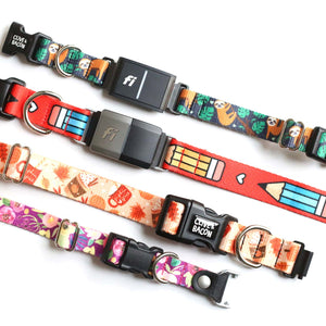 Ramen Fi Compatible Collar - Clive and Bacon