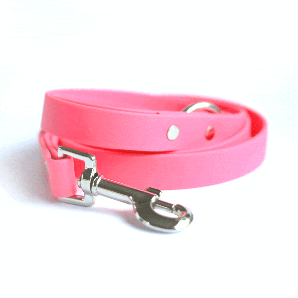 Rose Waterproof Dog Leash - Clive and Bacon
