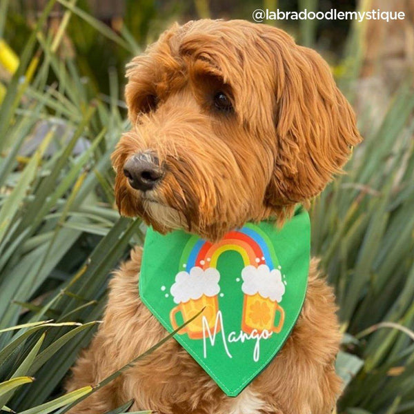 Shamrock Rainbow Beer Dog Bandana - Clive and Bacon